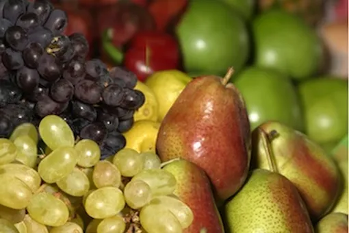 Свежие или замороженные? Свежие или замороженные?