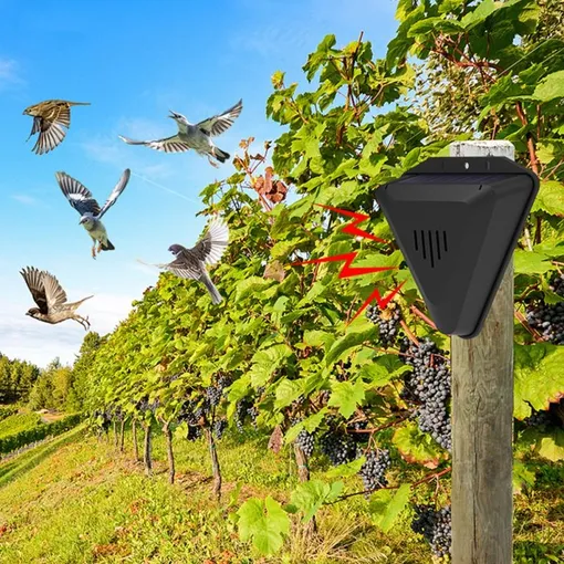 Ультразвуковые отпугиватели птиц
