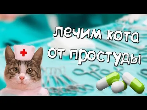 Нажми и смотри
