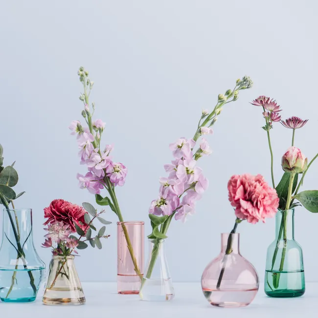 Самые стойкие и популярные: какие цветы подарить 1 сентября, чтобы дольше стояли в вазе?