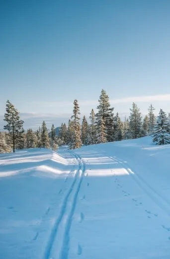 Жителей Урала предупредили о сильных холодах Жителей Урала предупредили о сильных холодах