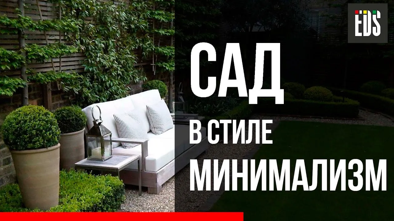 Нажми и смотри