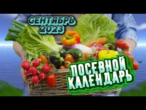 Нажми и смотри