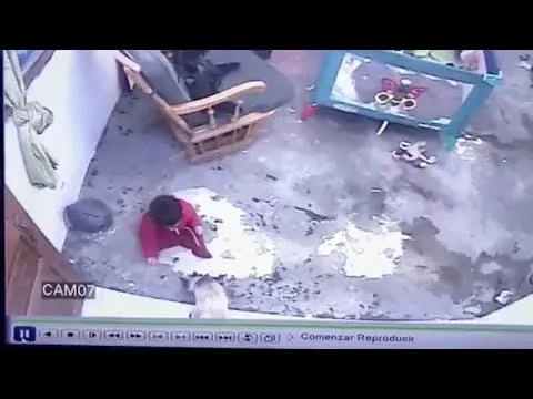Нажми и смотри