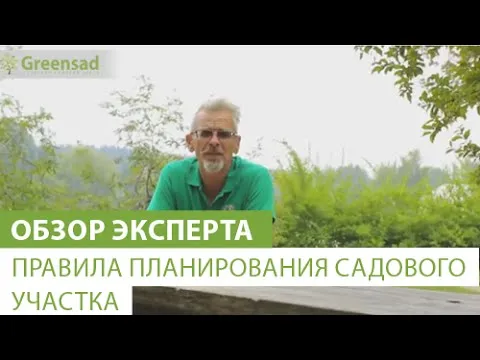 Нажми и смотри