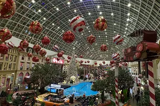 450 новогодних ёлок, парящие шары и волшебные инсталляции: парк аттракционов в Москве готов встречать Новый год 450 новогодних ёлок, парящие шары и волшебные инсталляции: парк аттракционов в Москве готов встречать Новый год