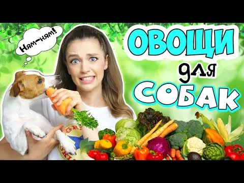 Нажми и смотри