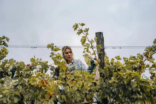 Елена Подкаминская