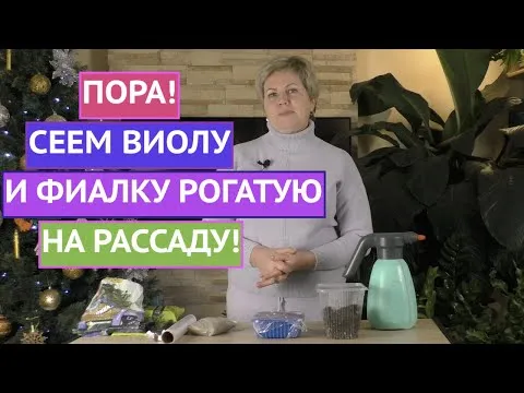 Нажми и смотри