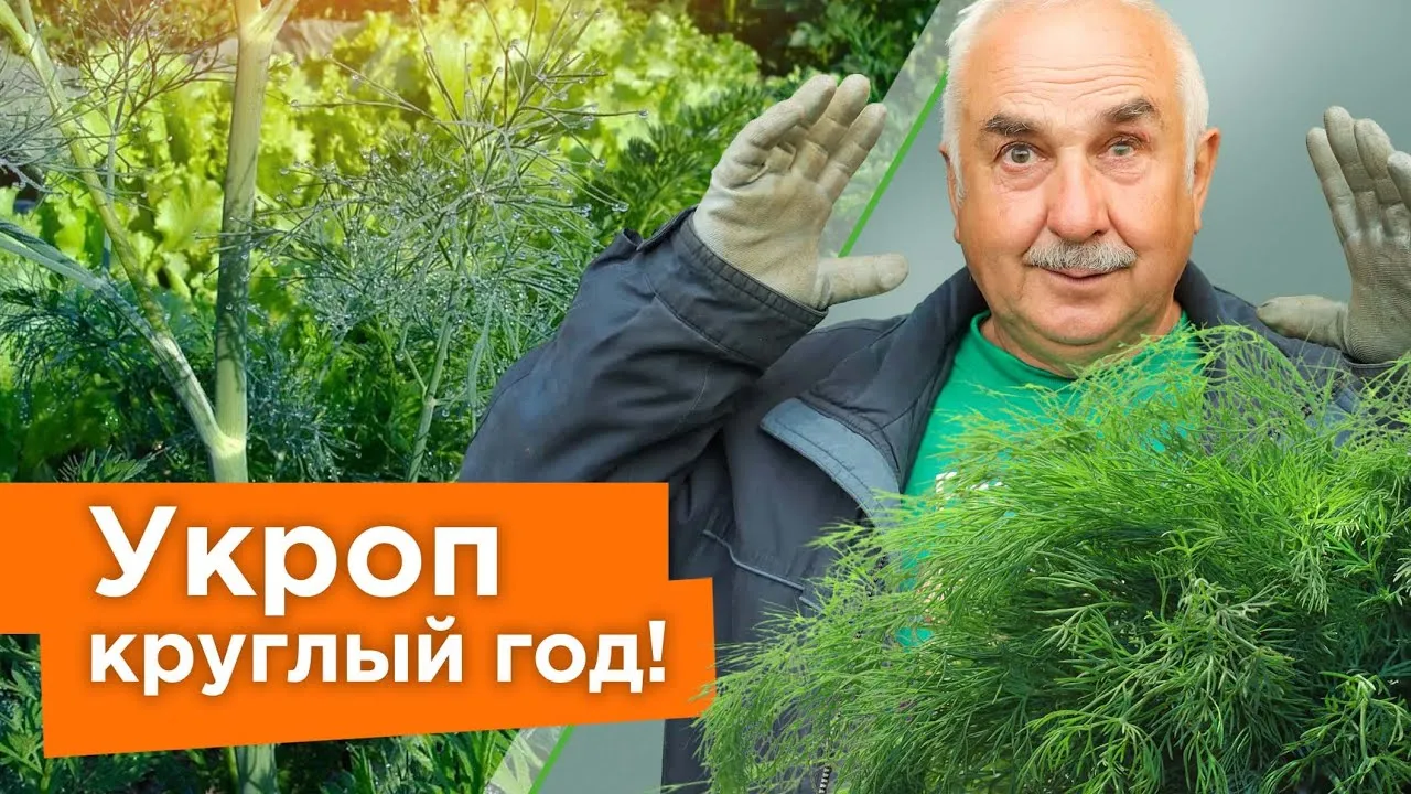 Нажми и смотри