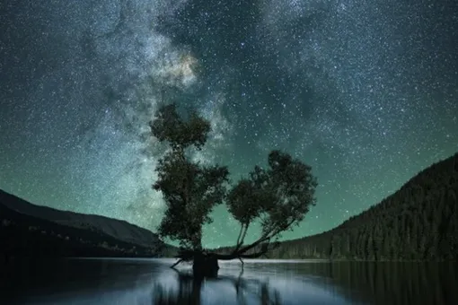 «Чёрная Луна» взойдёт на этой неделе: что это такое и можно ли увидеть этот редкий феномен