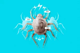 «Меня укусил заражённый клещ»: личная история «Меня укусил заражённый клещ»: личная история