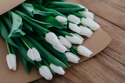 Как будем отдыхать в марте 2025 года: календарь праздничных и выходных дней Как будем отдыхать в марте 2025 года: календарь праздничных и выходных дней