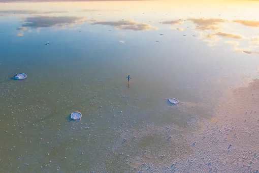 В тишину фото