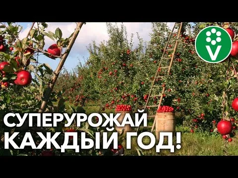 Нажми и смотри