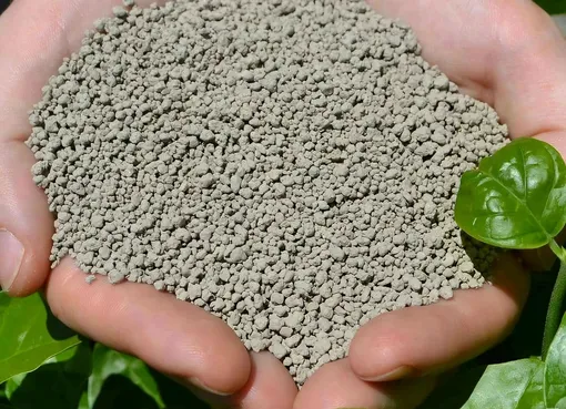 Какую дозу диатомита следует использовать