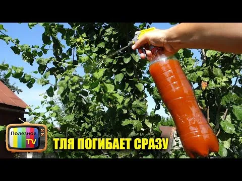Нажми и смотри Нажми и смотри