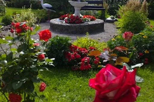 Итоги конкурса «Дачный дизайн» Итоги конкурса «Дачный дизайн»