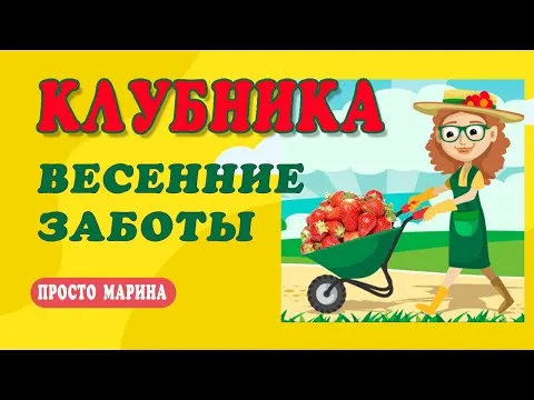 Нажми и смотри
