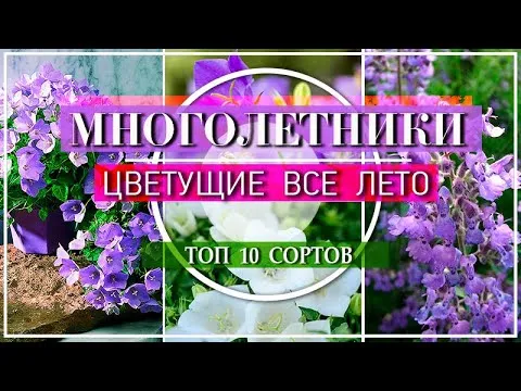 Нажми и смотри