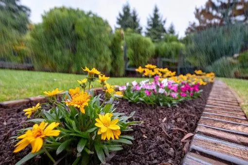 Мульчируйте клумбы – это защитит почву от вымывания и уплотнения