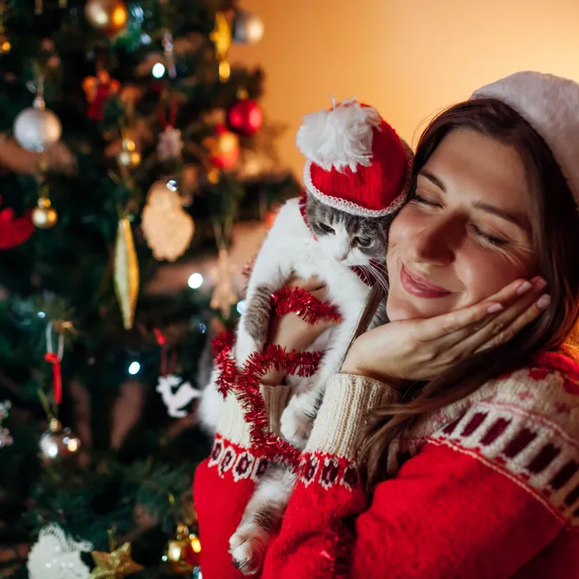 «Украсьте пылесосом»: ветеринар объяснил, как защитить ёлку от кота, а кота от ёлки