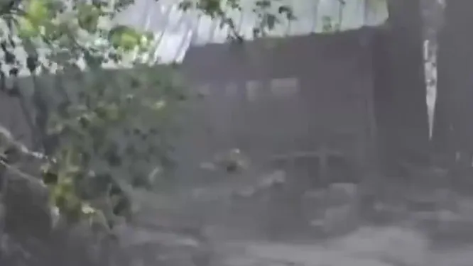 Нажми и смотри