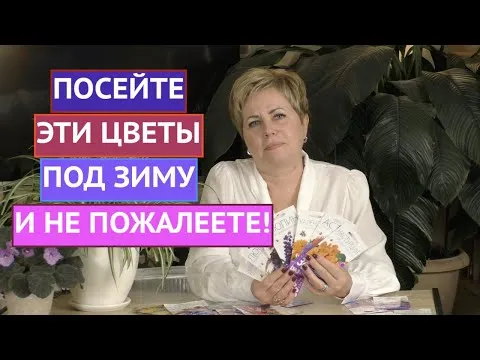 Нажми и смотри