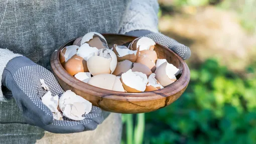 Мел или яичная скорлупа