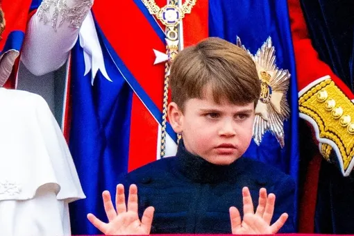 Принц Луи Принц Луи