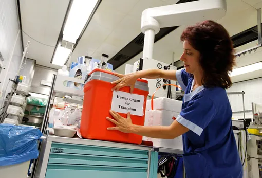 Пациент в коме подавал знаки, что жив, но был отправлен на изъятие органов. Его спас нейрохирург Пациент в коме подавал знаки, что жив, но был отправлен на изъятие органов. Его спас нейрохирург