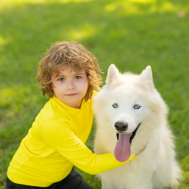 Мечтаете о собаке? 7 ценных советов от эксперта, которые сберегут нервы и деньги