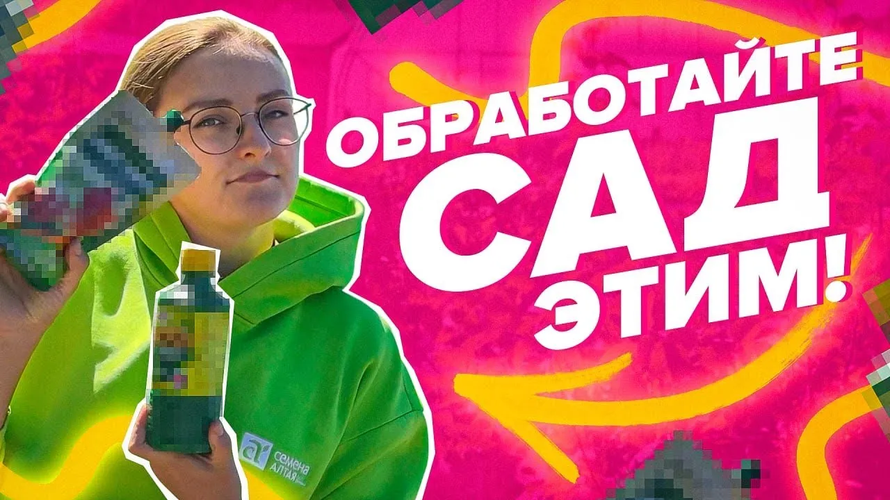 Нажми и смотри Нажми и смотри