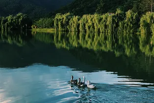 Кахетинские каникулы