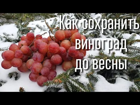 Нажми и смотри