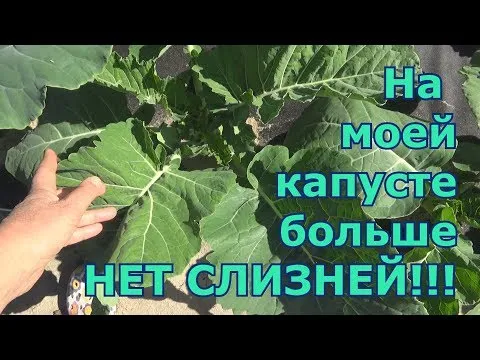 Нажми и смотри