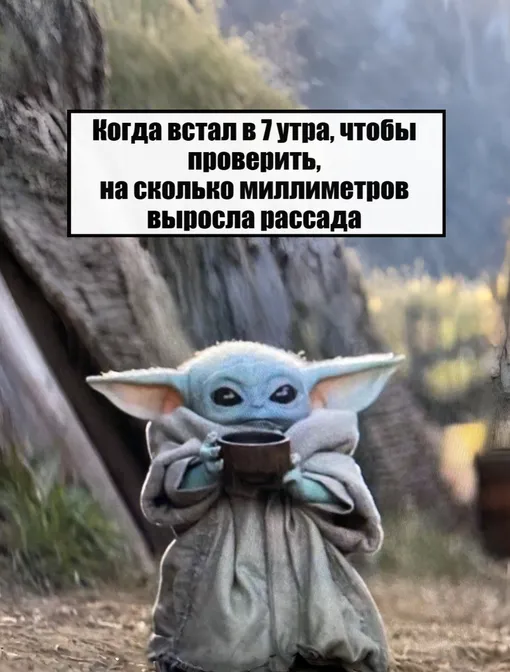 шутки про дачу
