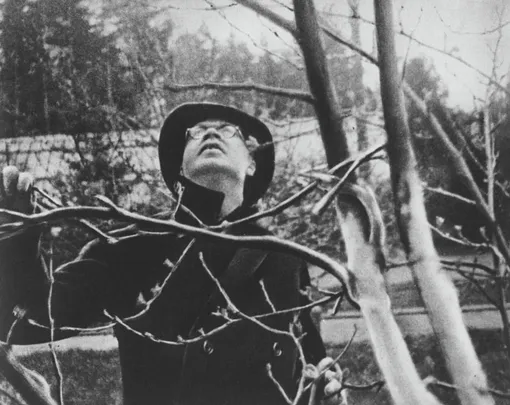 сергей прокофьев