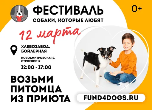 Фестиваль Собаки, которые любят Фестиваль Собаки, которые любят