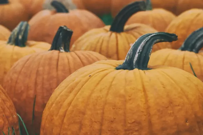 widget-interest widget-interest