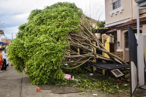 Около 600 россиян не могут вылететь из Китая из-за тайфуна «Каджики» Около 600 россиян не могут вылететь из Китая из-за тайфуна «Каджики»