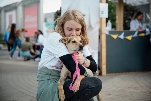 Фестиваль-пристройство «Собаки, которые любят» — самое душевное событие этого лета! Фестиваль-пристройство «Собаки, которые любят» — самое душевное событие этого лета!