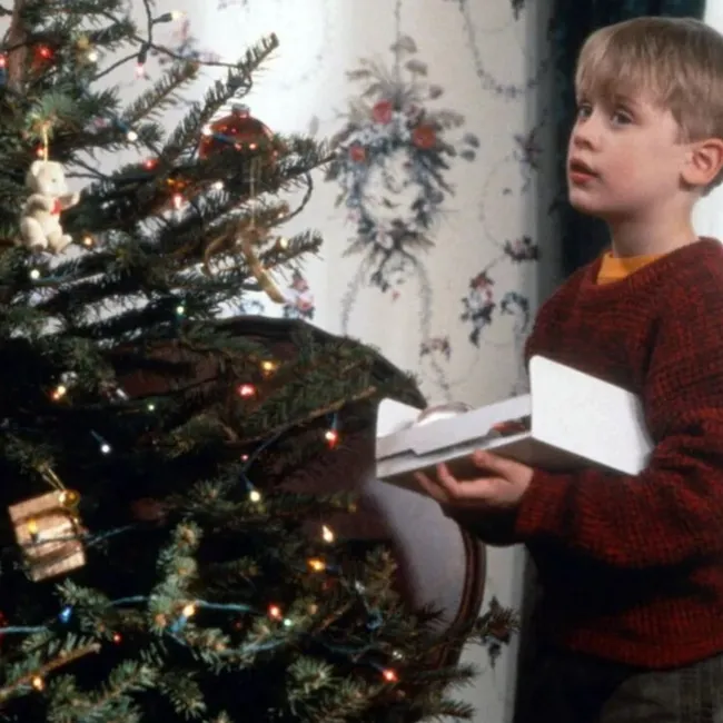 Особняк Маккаллистеров: как украсить дом в стиле «Один дома» на Рождество