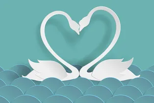 «Бумажная» свадьба: приметы, подарки и как отмечать два года супружества «Бумажная» свадьба: приметы, подарки и как отмечать два года супружества