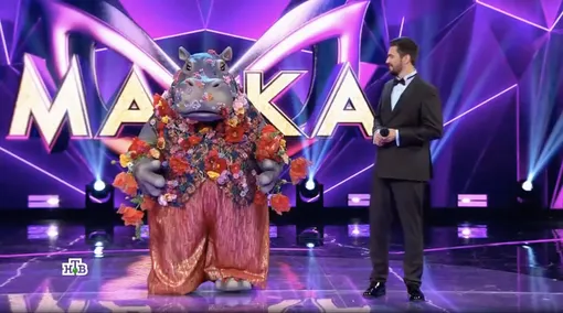 Гиппопотам