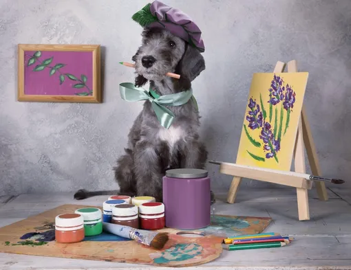 Собаки-художники: как питомцы создают абстрактные картины Собаки-художники: как питомцы создают абстрактные картины
