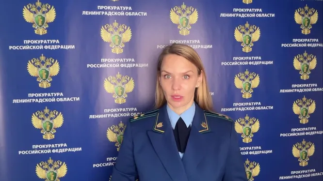 Нажми и смотри