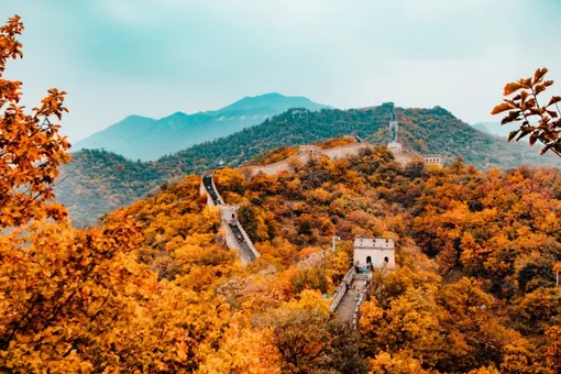 Россияне ринулись скупать новогодние туры в Китай Россияне ринулись скупать новогодние туры в Китай