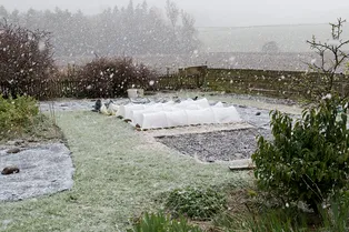 10 вещей в саду и огороде, которые запрещено делать, если земля замёрзла
