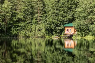 Россиянам напомнили о том, как уберечься от мошенников при покупке дачи